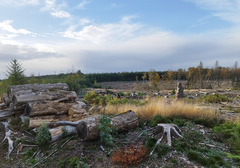Identification des caracteristiques et des dynamiques d'un territoire - Image 5
